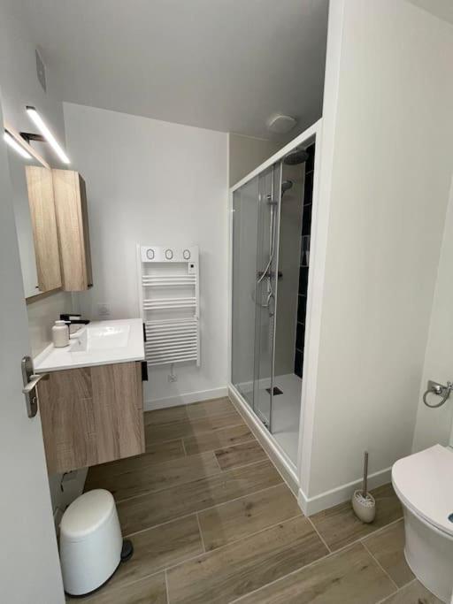 Appartement Proche Stade/Eurexpo Décines-Charpieu Kültér fotó